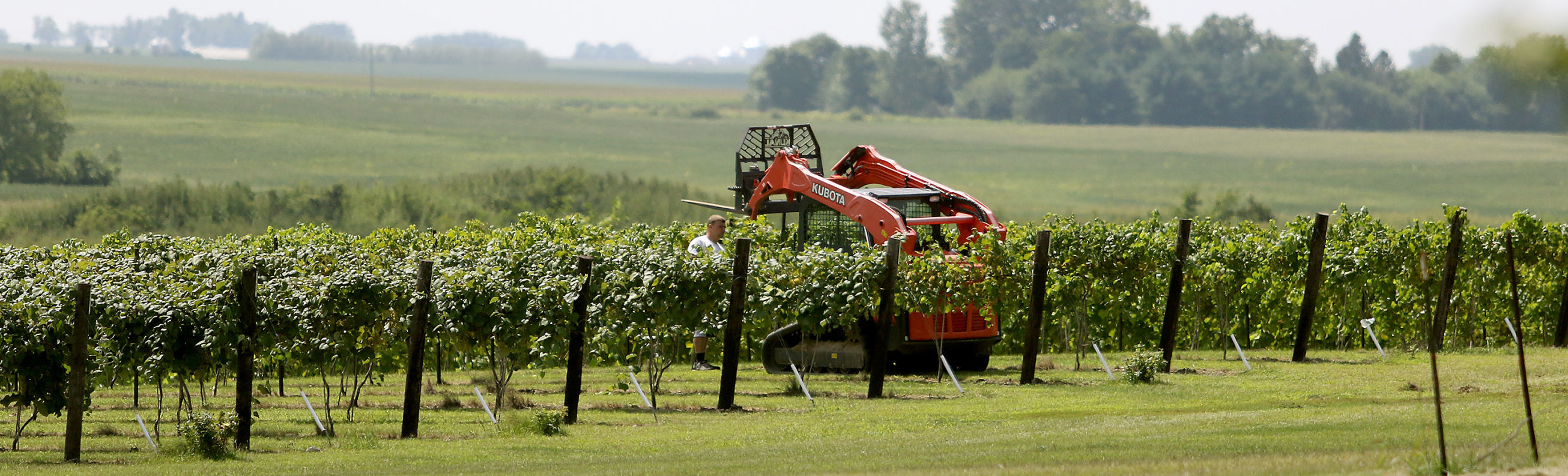 082218-big-story-winery-006